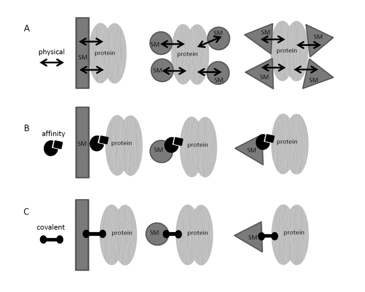 Method for in vitro transcription using an immobilized restriction enzyme