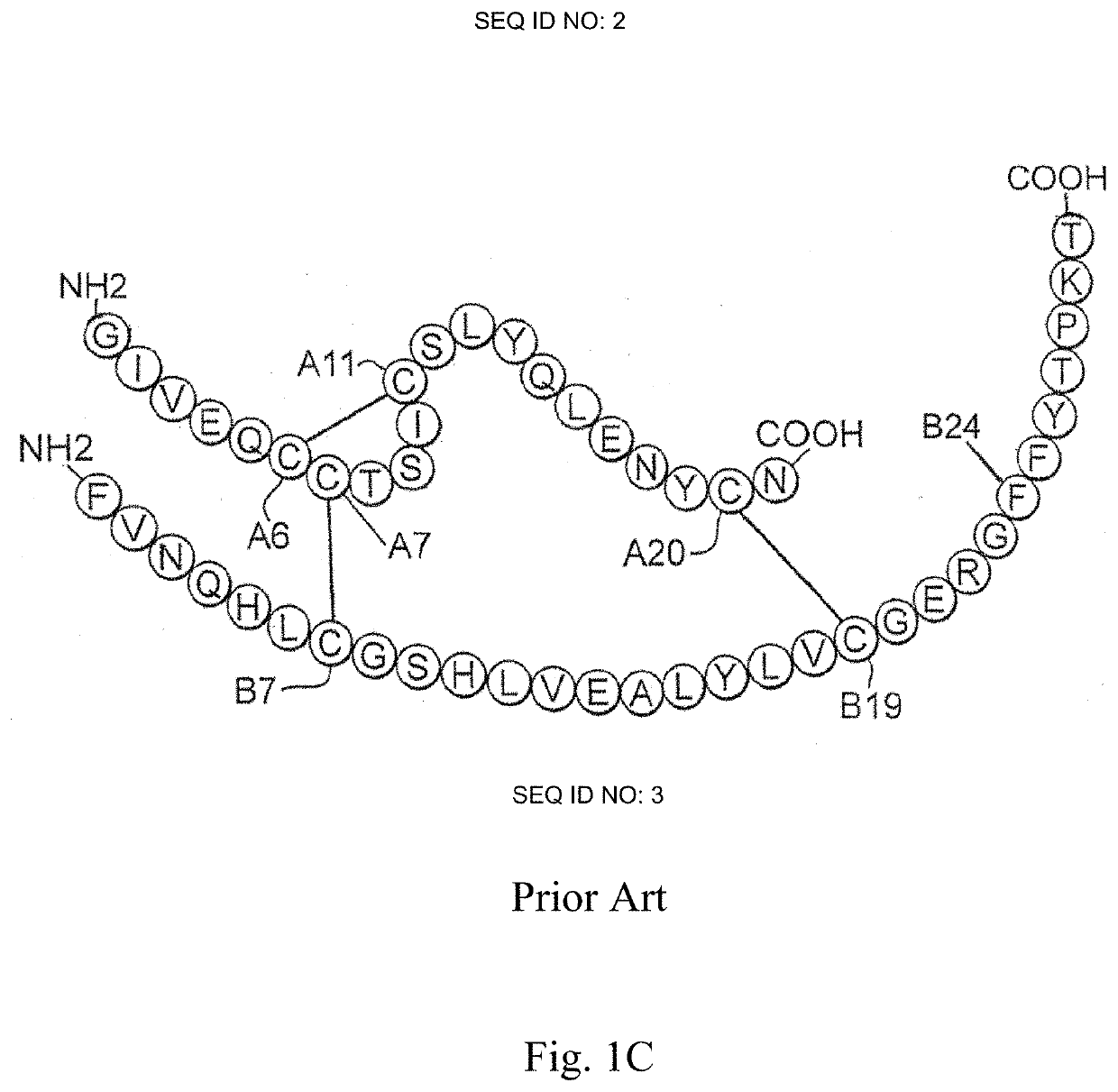 Non-standard insulin analogues