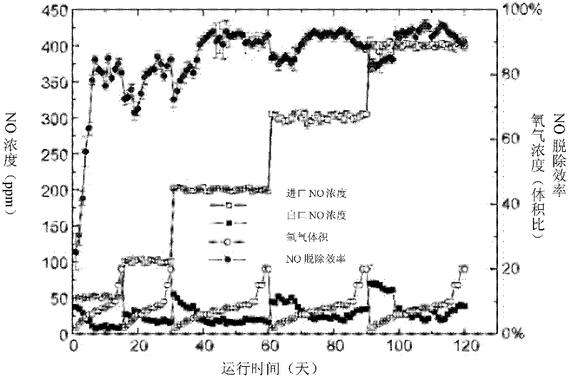 Chelatococcus daeguensis with good aerobic denitrification performance and application thereof