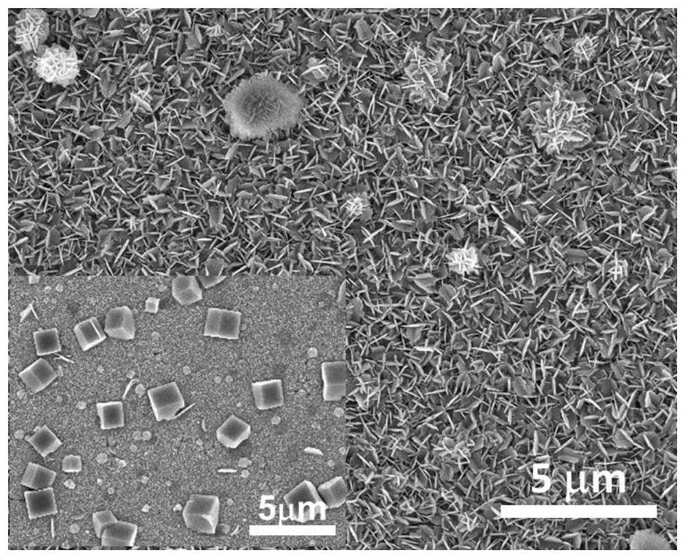 A method for photocatalytic oxidation of xylose using indium sulfide/nickel-iron hydrotalcite composite film