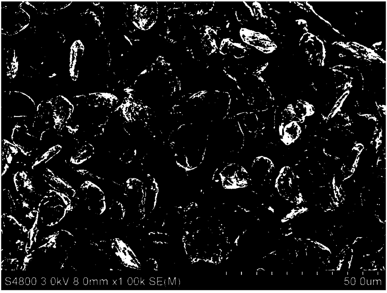 Solid electrolyte interface membrane-coated negative electrode material composite material, preparation method and use thereof