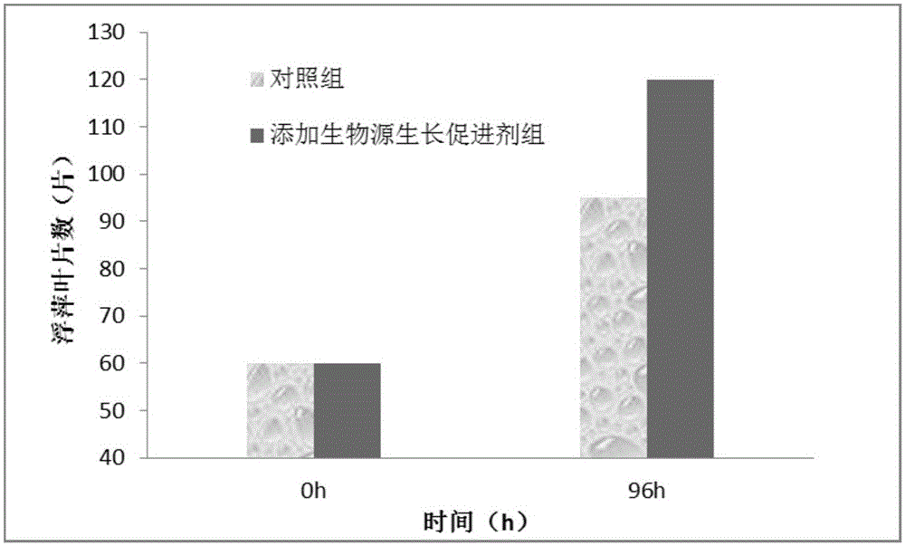 Duckweed biological source growth promoter and preparation method thereof and application