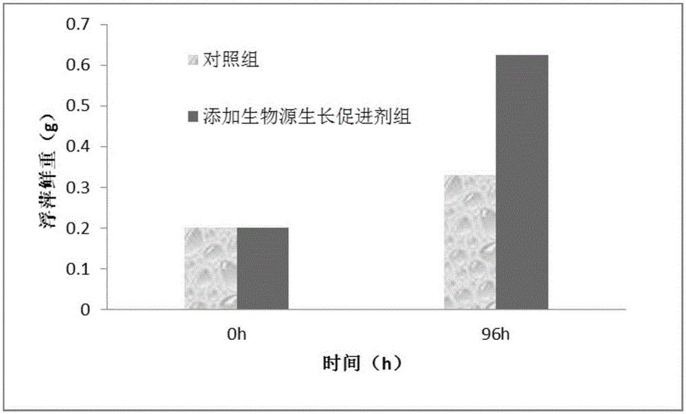 Duckweed biological source growth promoter and preparation method thereof and application