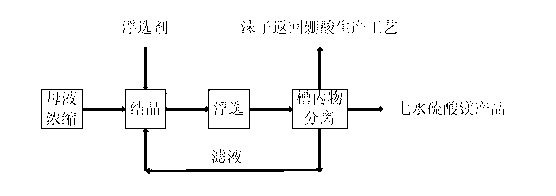 Process for recovering magnesium sulfate monohydrate from boron extraction mother liquor