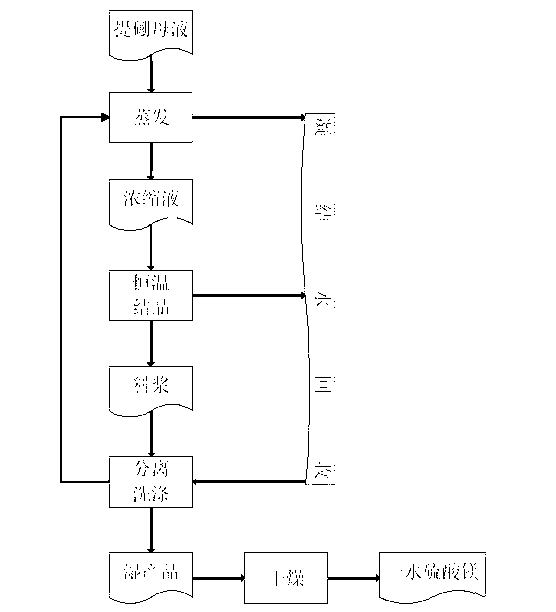 Process for recovering magnesium sulfate monohydrate from boron extraction mother liquor