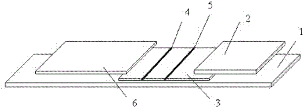 Immunofluorescence test strip component for quickly and quantitatively detecting myocardial creatine kinase isozyme, detection card component comprising same and preparation method