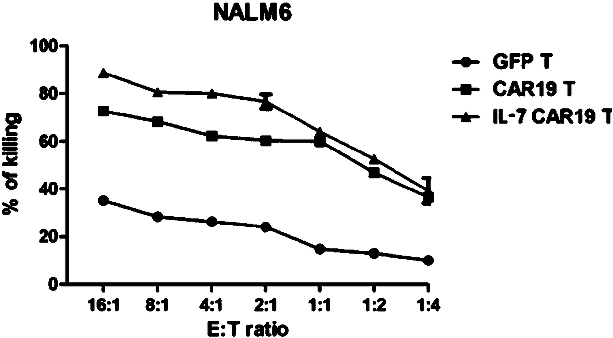 CAR (chimeric antigen receptor) secreting IL-7, virus vector, expression cell, preparation method and drug