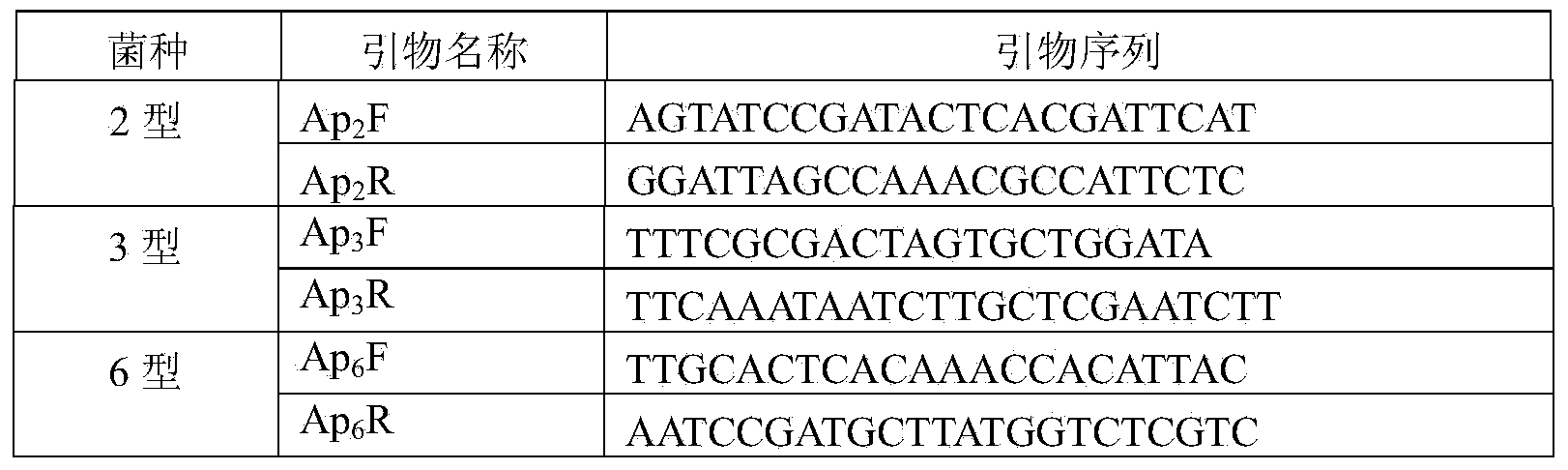 Method and kit for triple PCR detection of porcine infectious actinobacillus pleuropneumonia serum types 2, 3 and 6 and application of porcine infectious actinobacillus pleuropneumonia serum types 2, 3 and 6