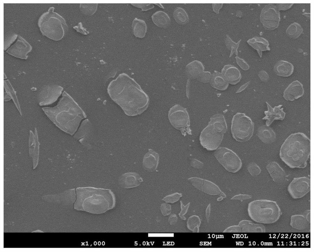 Method for amino acid-assisted wet chemical synthesis of niobate hydrate powder material and obtained material