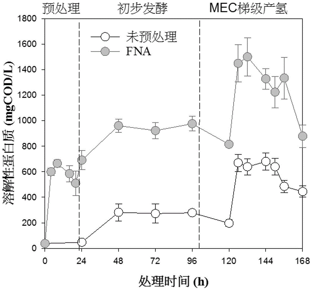 Hydrogen production and struvite recovery method for sludge by adopting FNA (free nitrous acid) reinforced microbial electrolysis