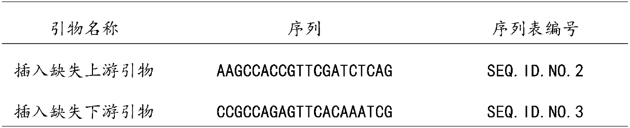 Insertion deletion marker site for identifying shape of watermelon fruit, primer and application