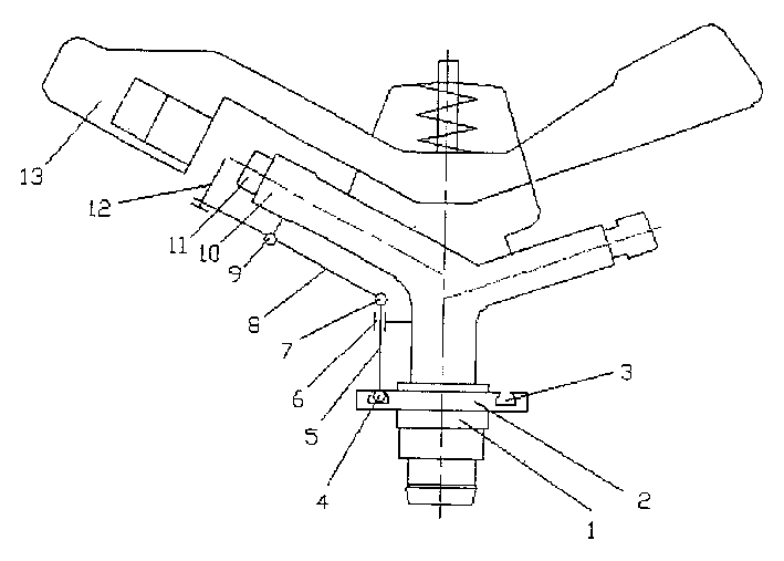 Rocking-arm type nozzle with non-circular spraying zone