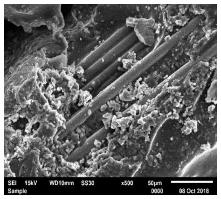 Self-healing microcapsule and preparation method thereof, self-healing basalt fiber and preparation method thereof