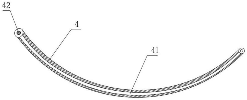 Enteroscope for removing intestinal ascaris