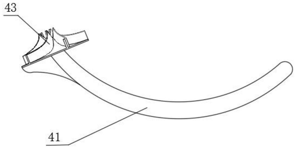 Enteroscope for removing intestinal ascaris