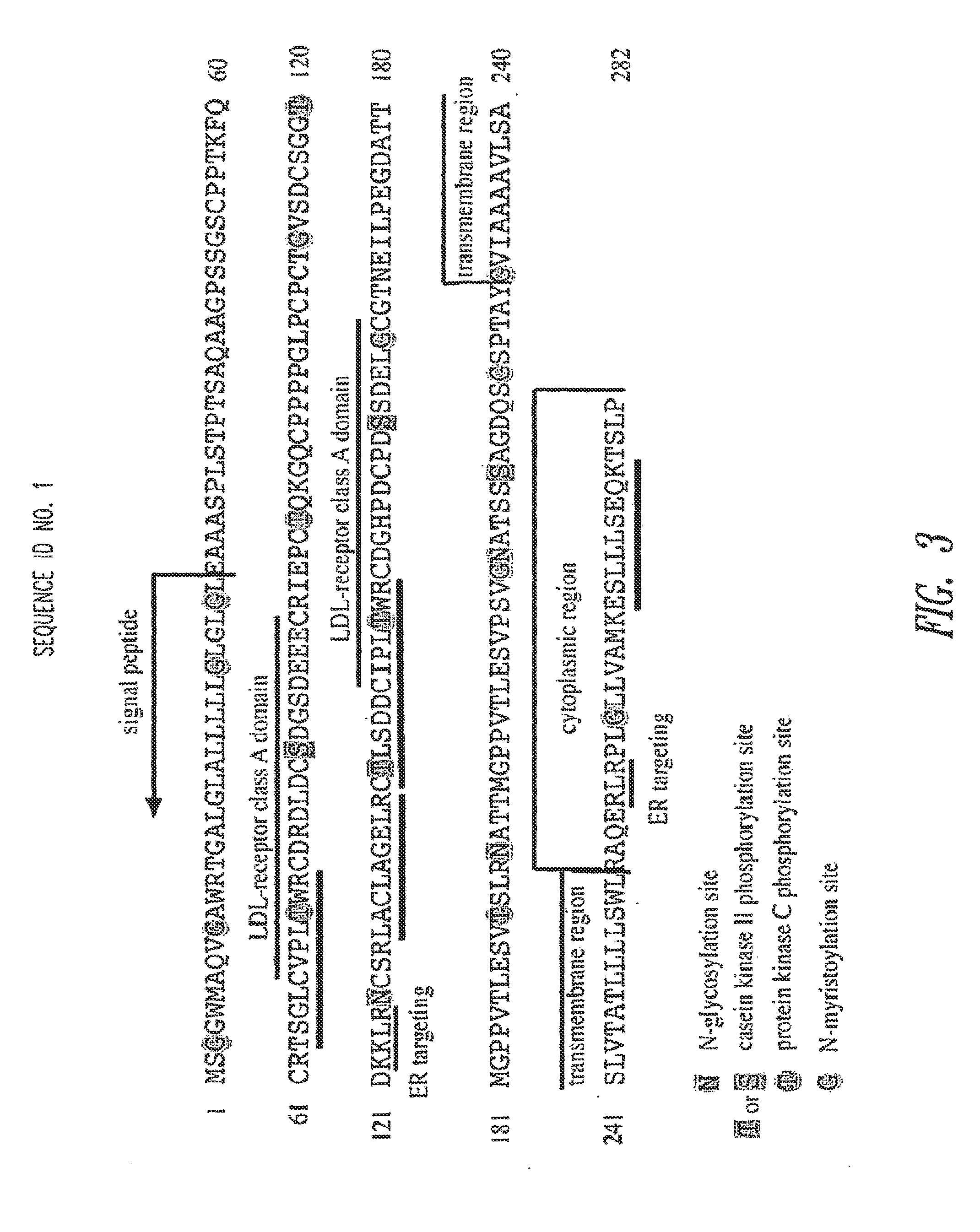 Transcobalamin receptor polypeptides, nucleic acids, and modulators thereof, and related methods of use in modulating cell growth and treating cancer and cobalamin deficiency