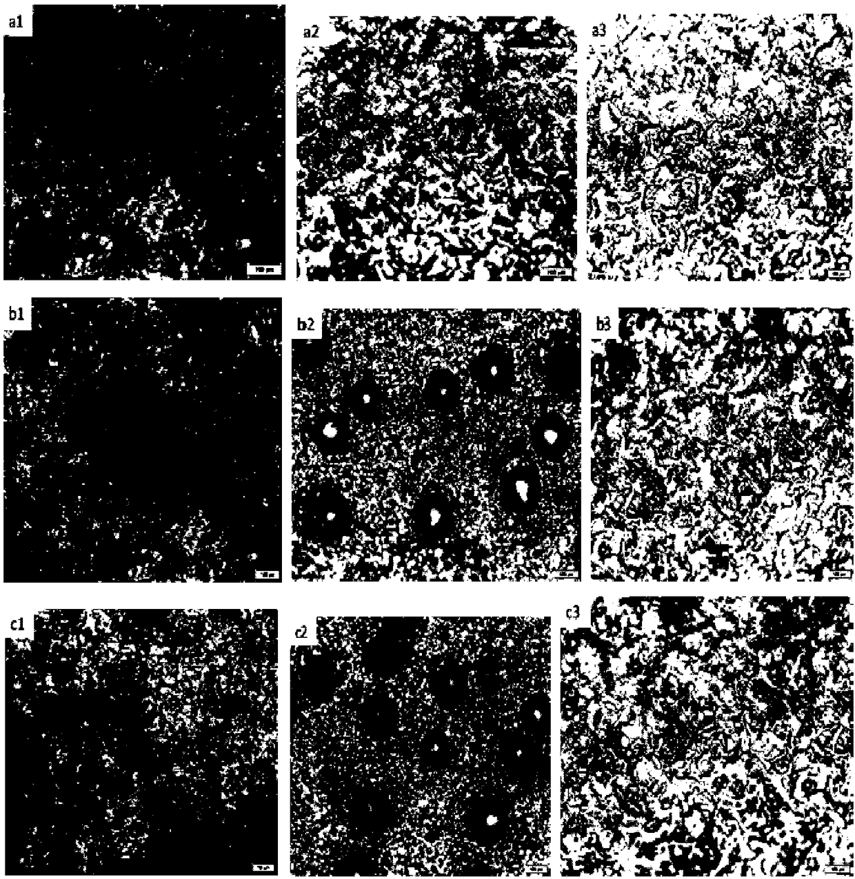 Method for recycling and processing pickling waste liquid containing iron