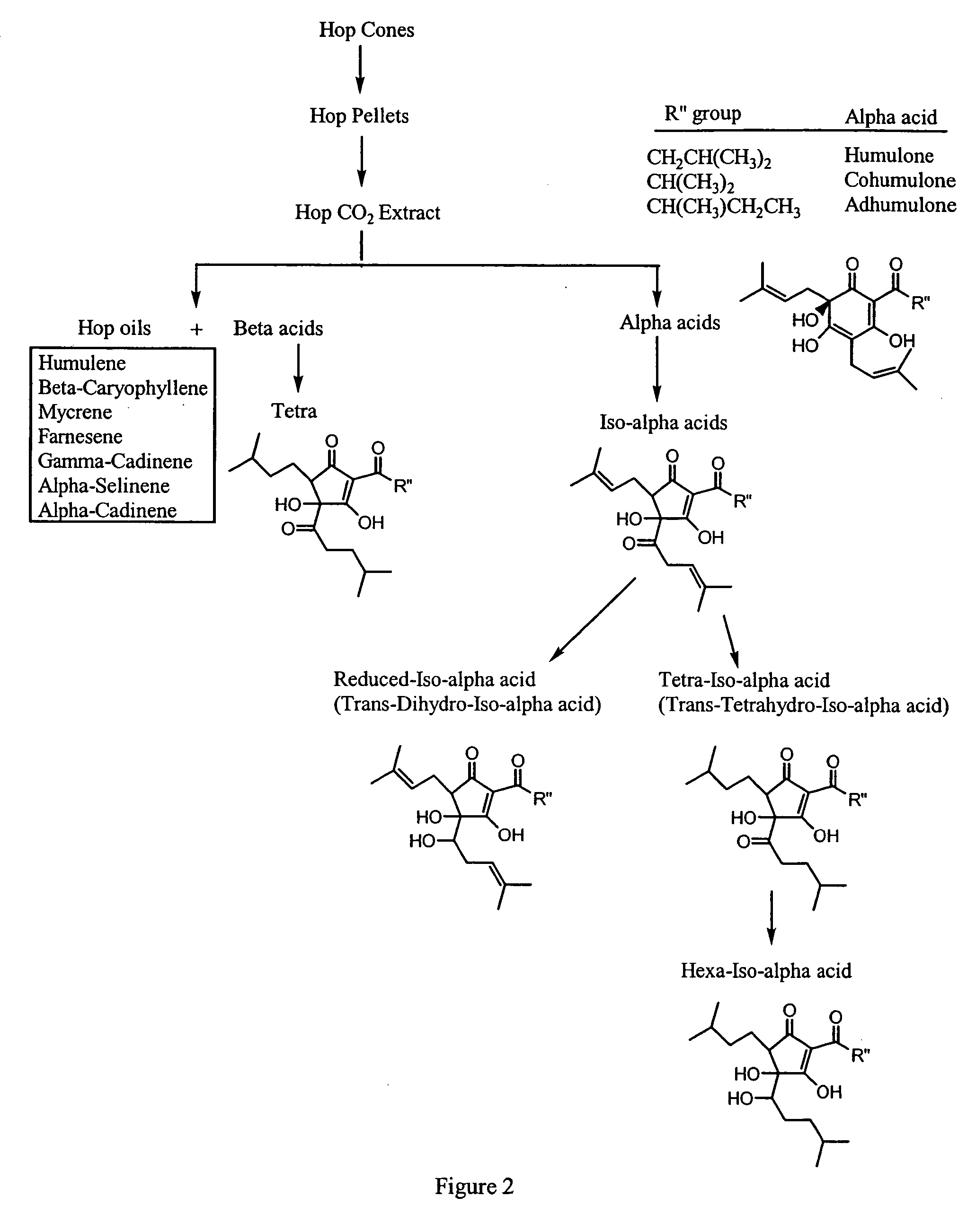 Synergistic compositions that treat or inhibit pathological conditions associated with inflammatory response