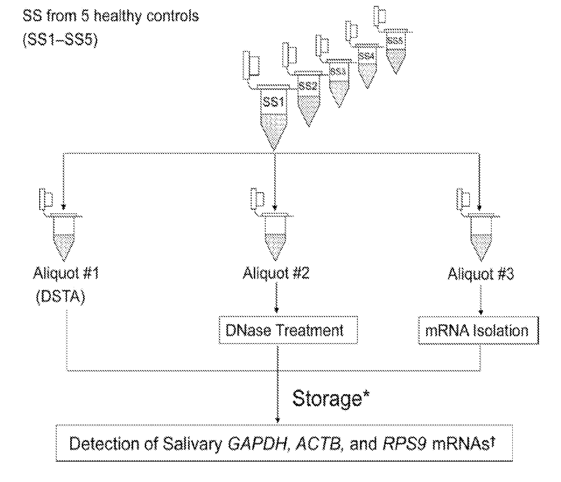 Saliva collection, processing, stabilization, and storage method