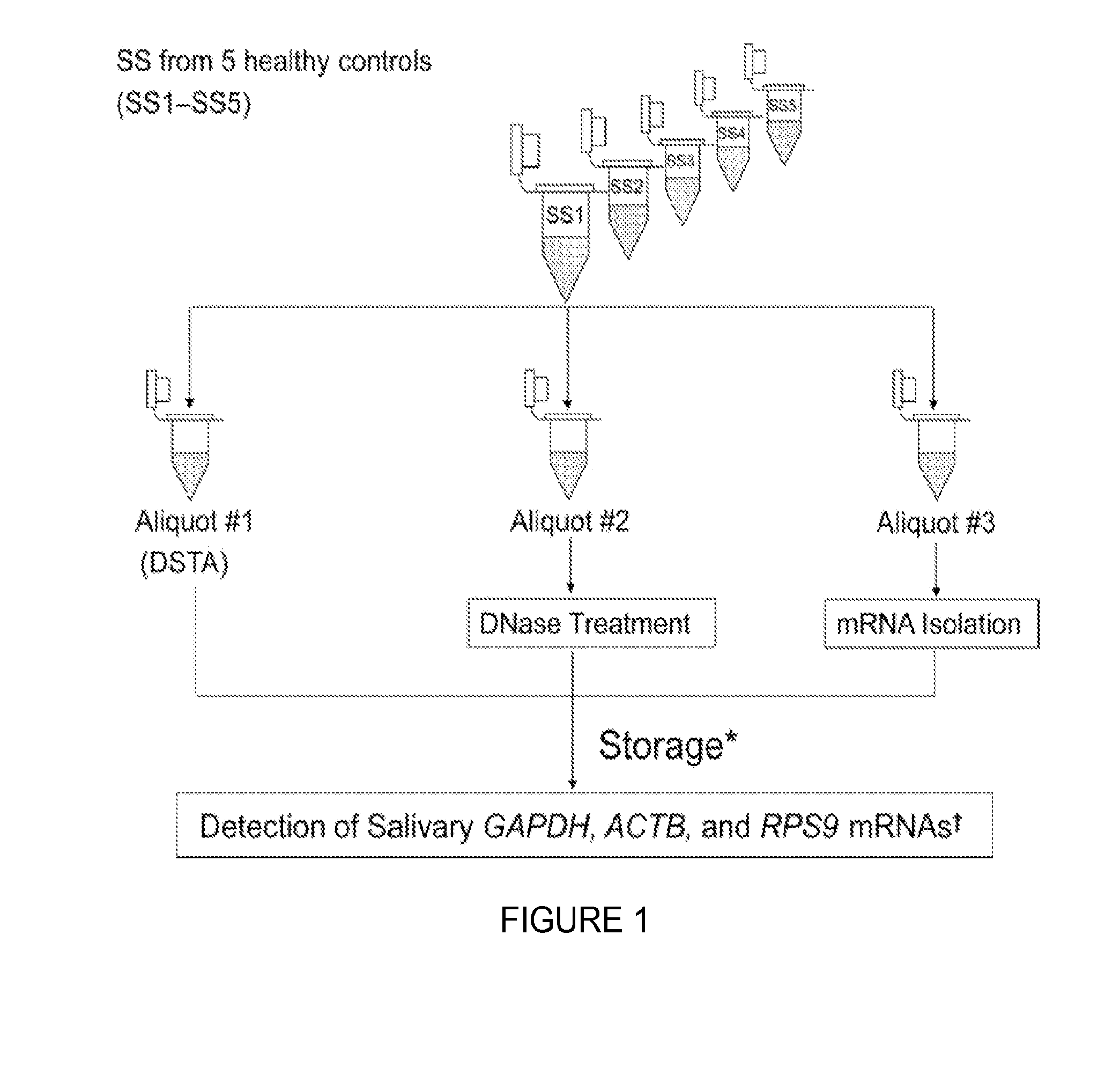 Saliva collection, processing, stabilization, and storage method