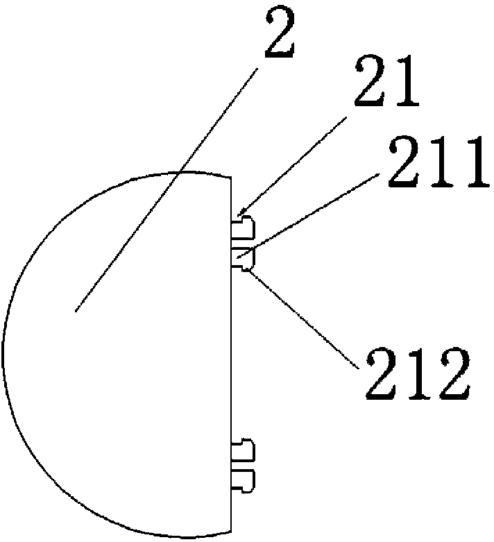 Vertical wall body greening method and plant curtain wall formed by using same