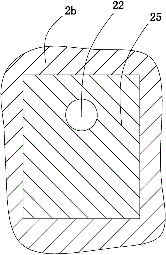 Culture carrier structure for test