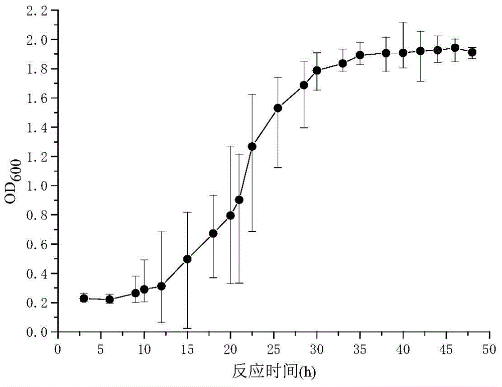 Deamination and deodorization bacterial strain QDN01 and application thereof in biological deodorization