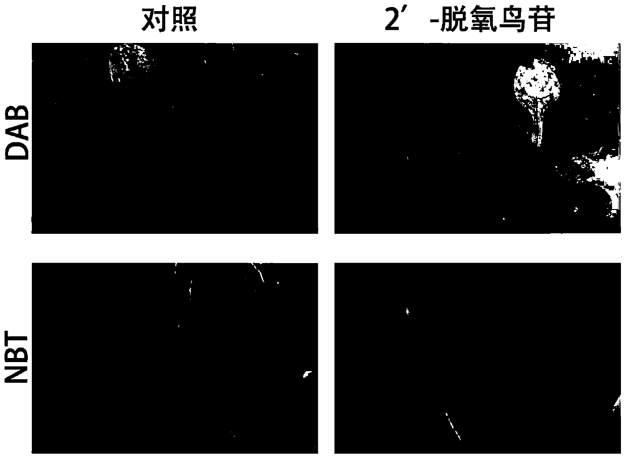 A plant disease resistance inducer and its application