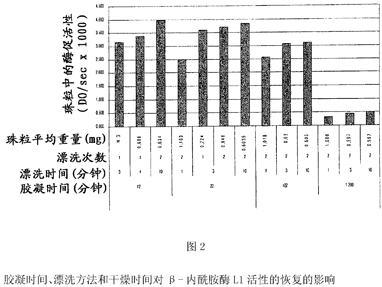 Colonic delivery using Zn/pectin beads with a Eudragit coating