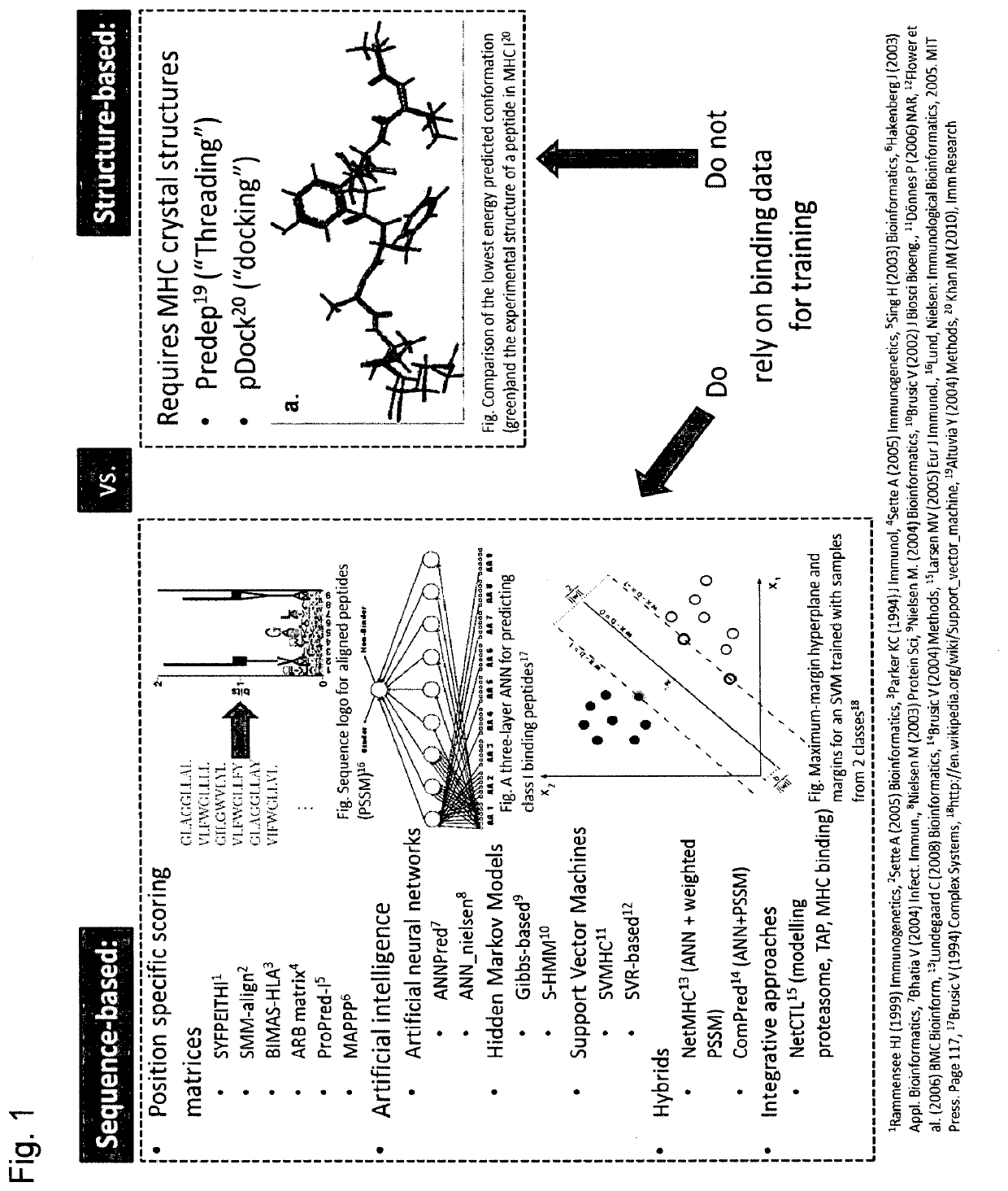 Predicting immunogenicity of t cell epitopes