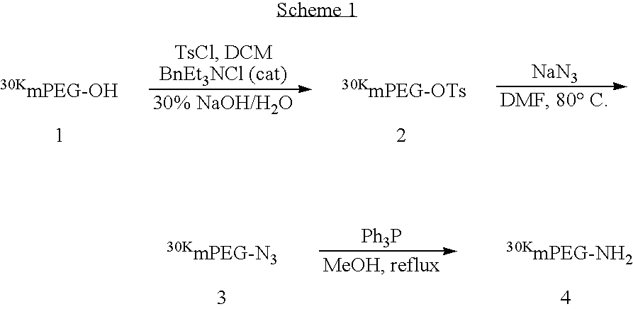 Method of preparing polymers having terminal amine groups