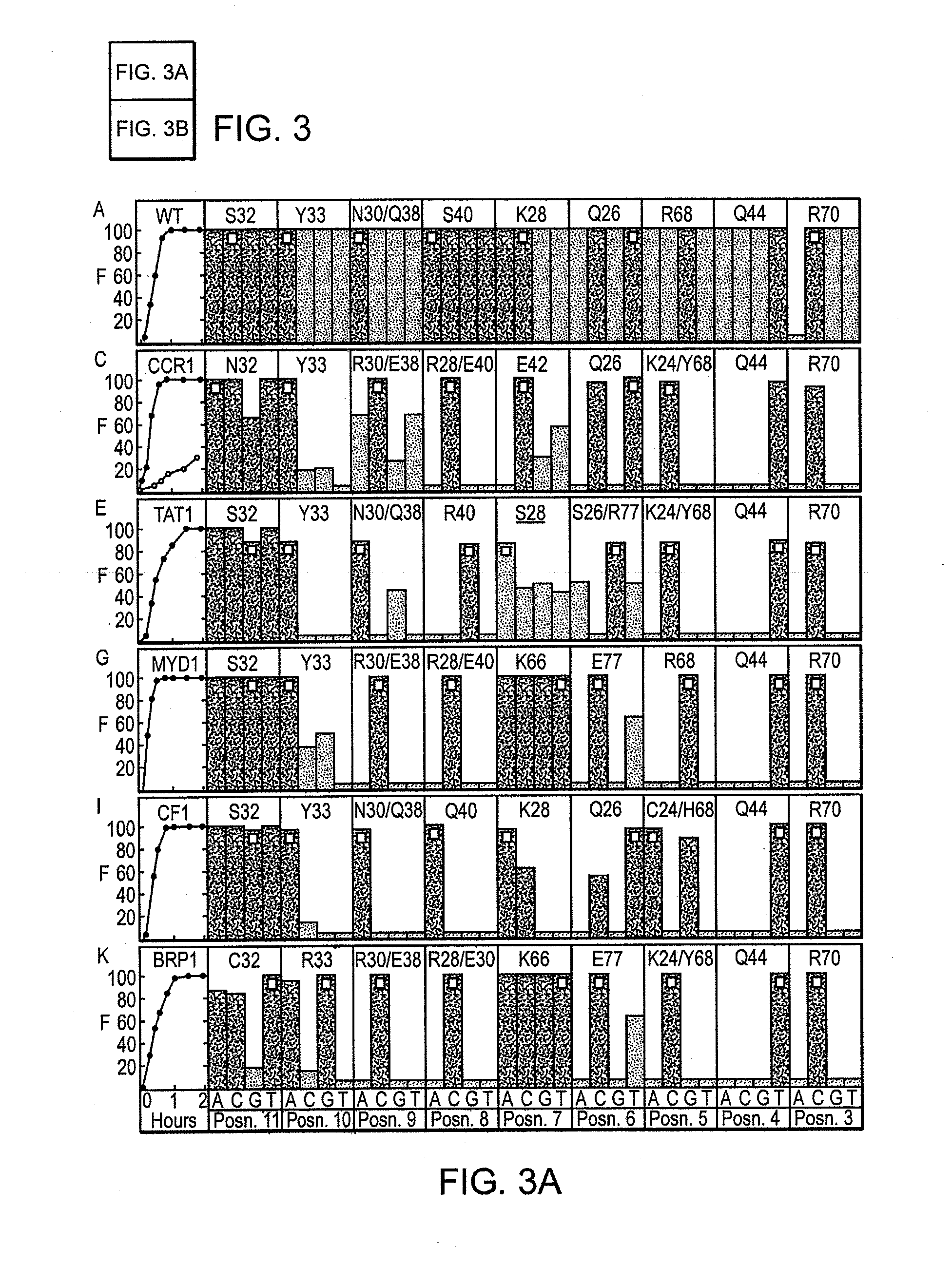 Fusion Molecules of Rationally-Designed DNA-Binding Proteins and Effector Domains