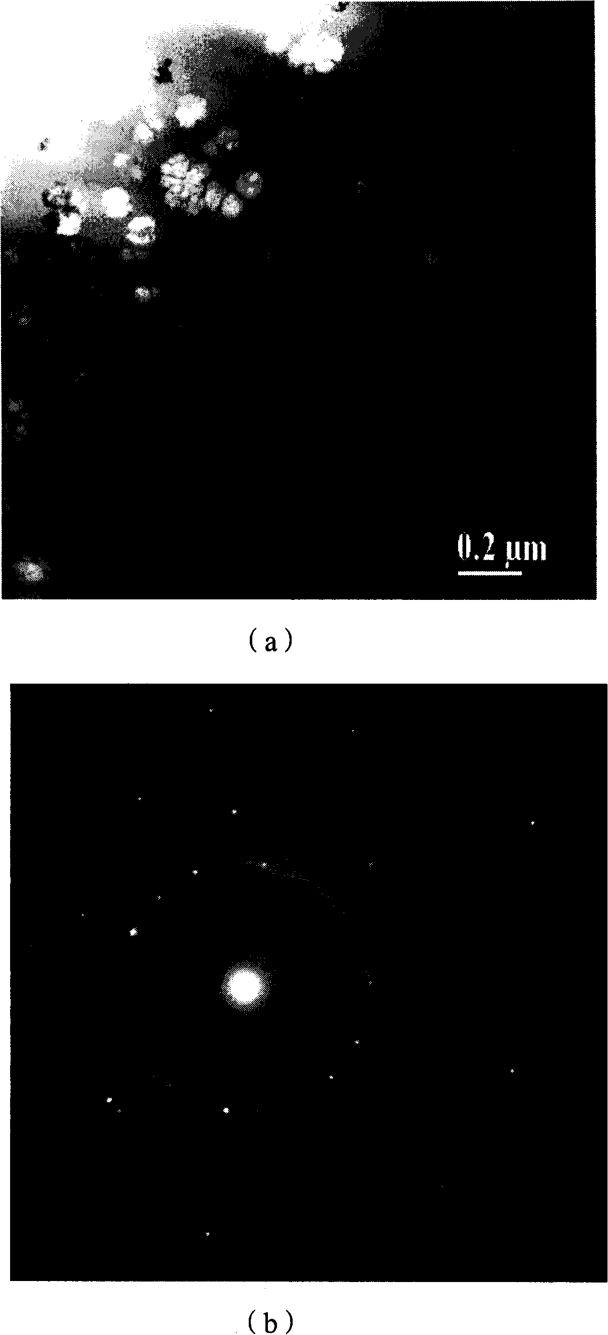 Nanocrystalline alloy coating and preparation thereof