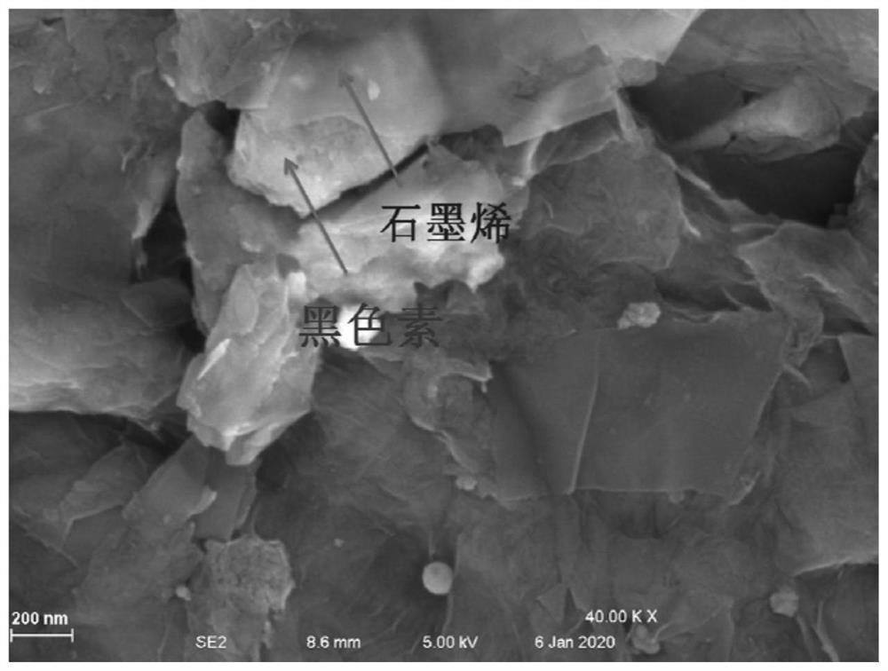 Latex material modified by composite material composed of melanin and graphene and preparation method thereof