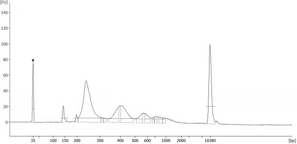 Reagent for constructing free DNA library and application thereof