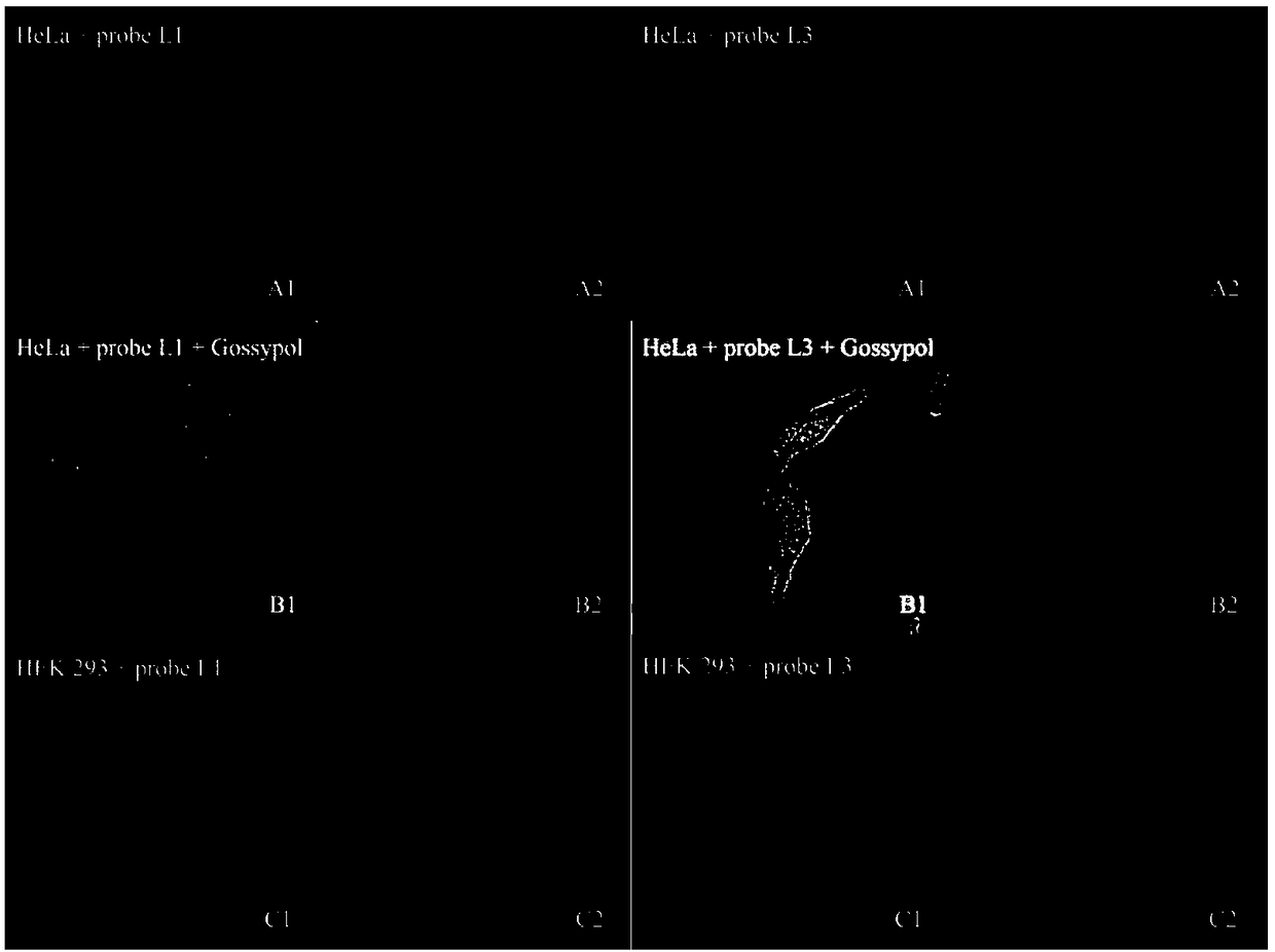 Substituted indole-2-carboxylic acid Bcl-2 small-molecule fluorescent probe and application thereof