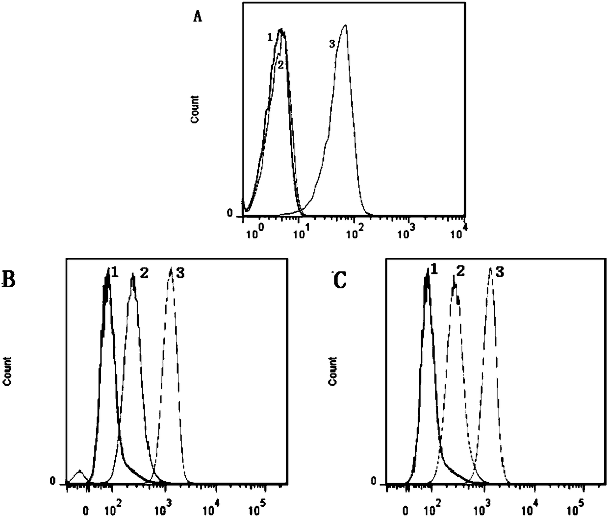 Substituted indole-2-carboxylic acid Bcl-2 small-molecule fluorescent probe and application thereof