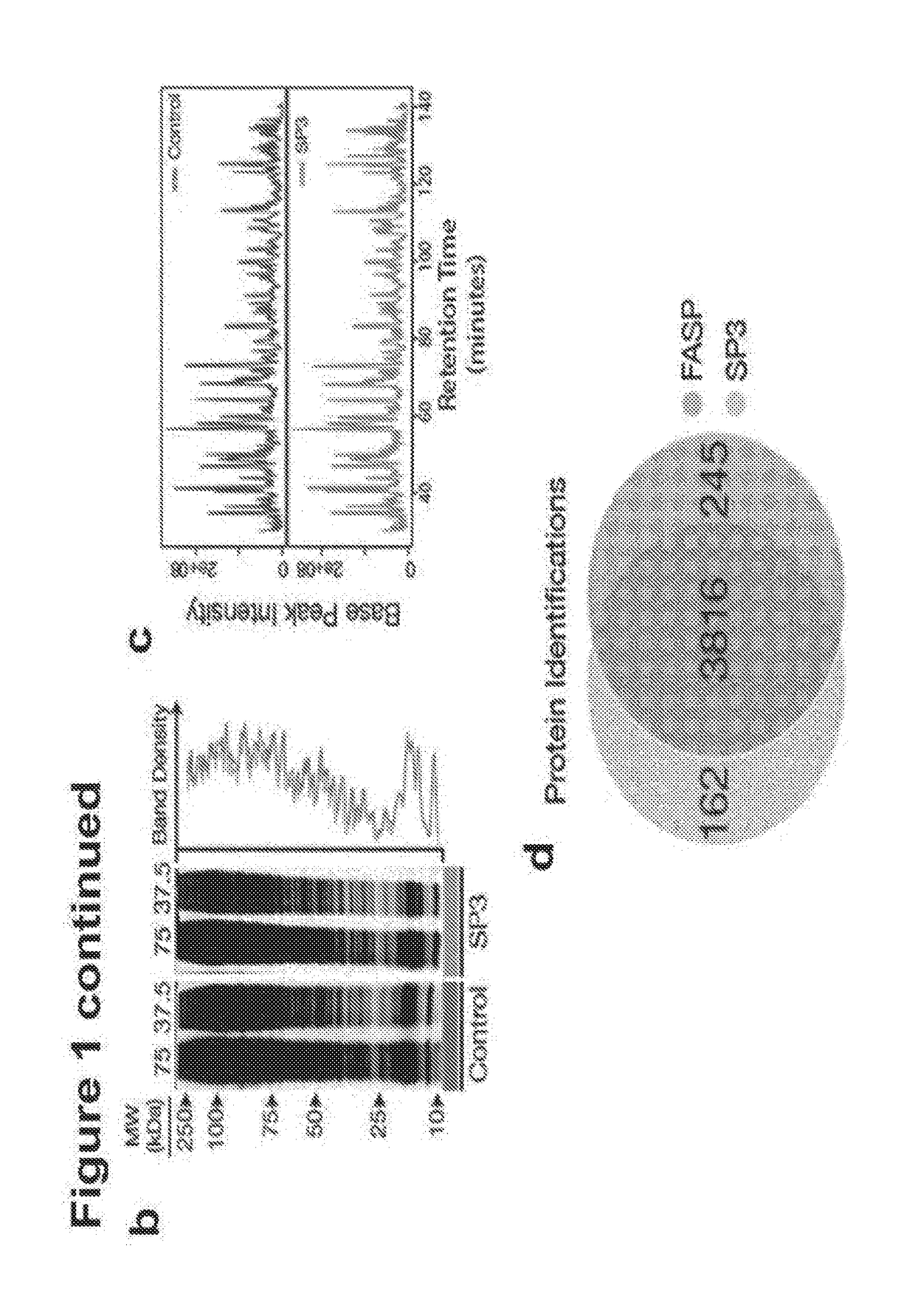 Proteomic sample preparation using paramagnetic beads