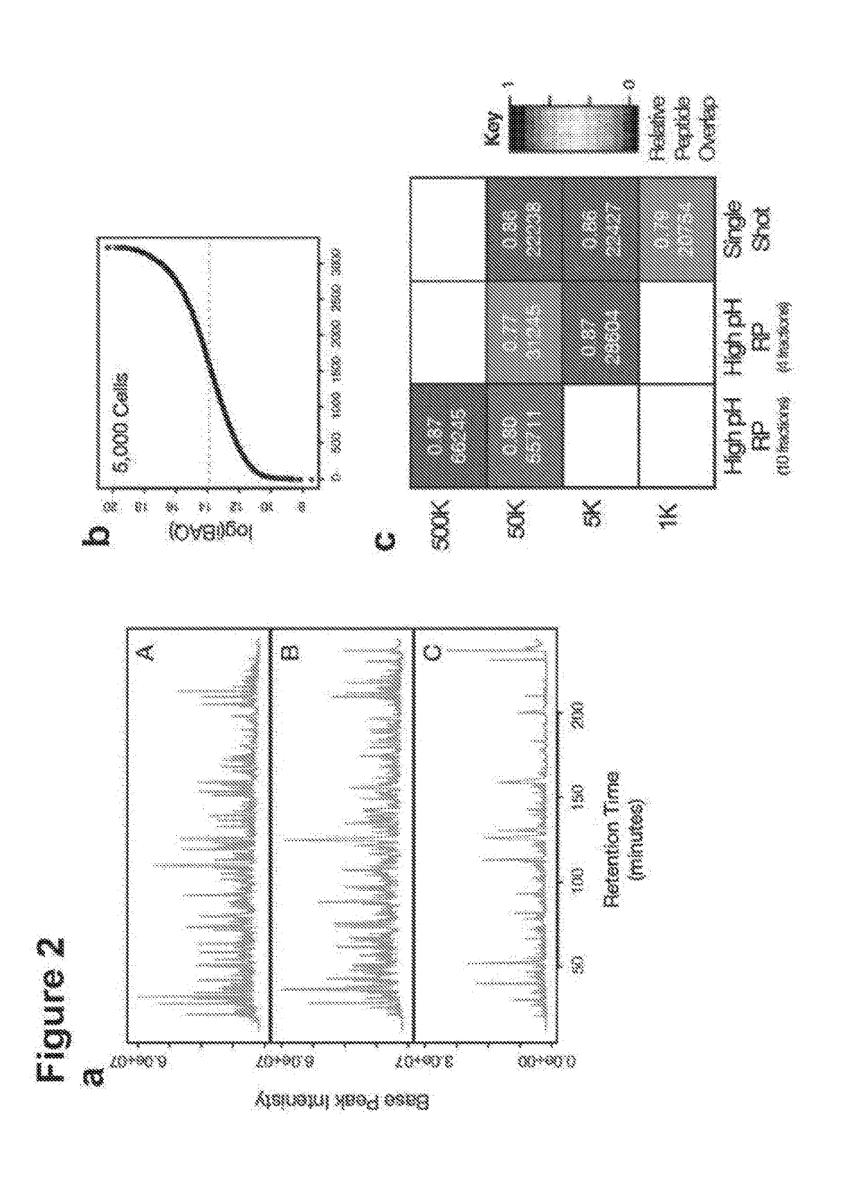 Proteomic sample preparation using paramagnetic beads