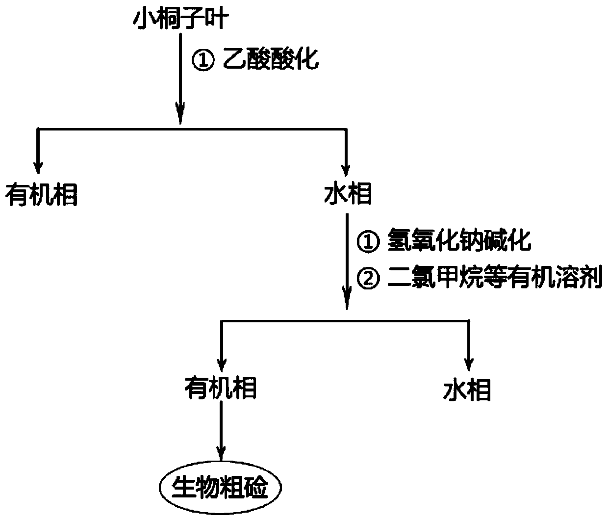 Extraction process of biological crude alkali from leaves of jatropha curcas