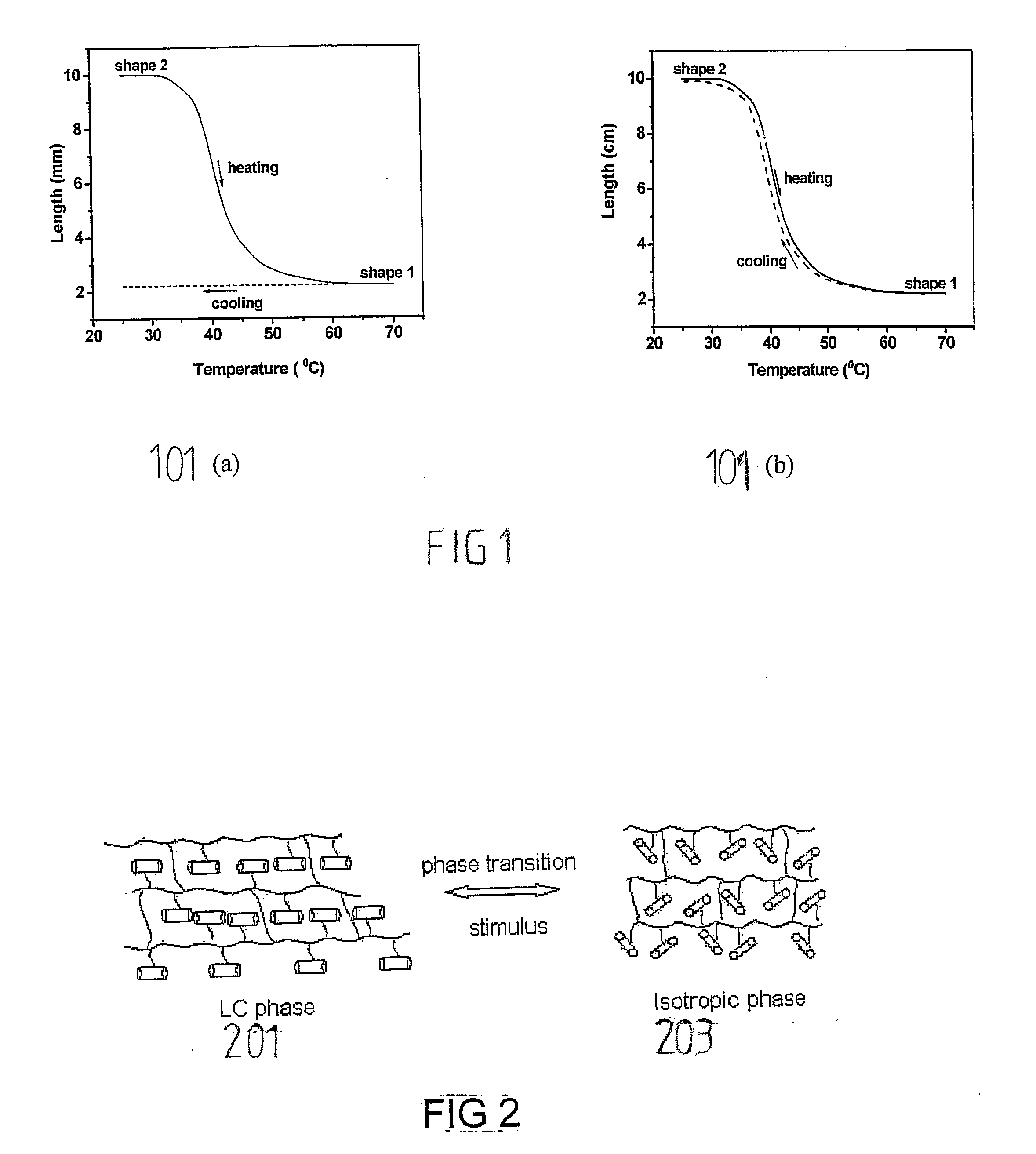 Liquid crystal elastomers with two-way shape ;memory effect