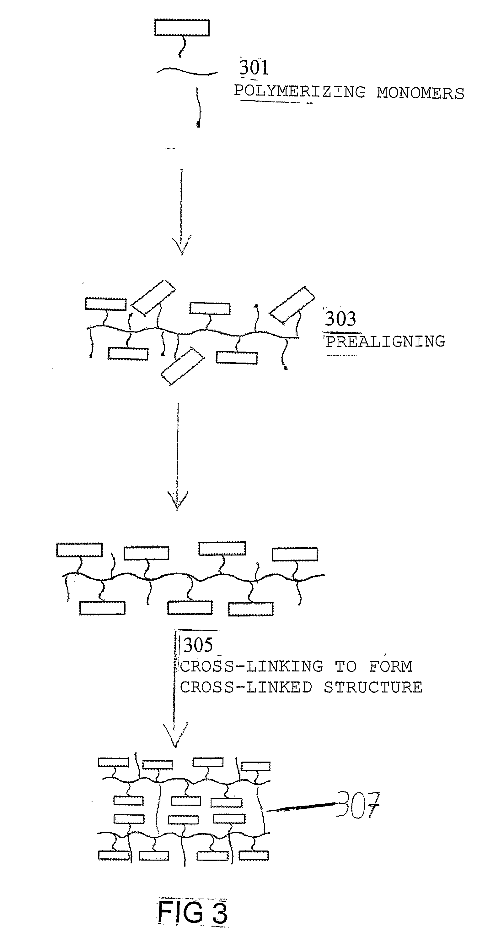 Liquid crystal elastomers with two-way shape ;memory effect