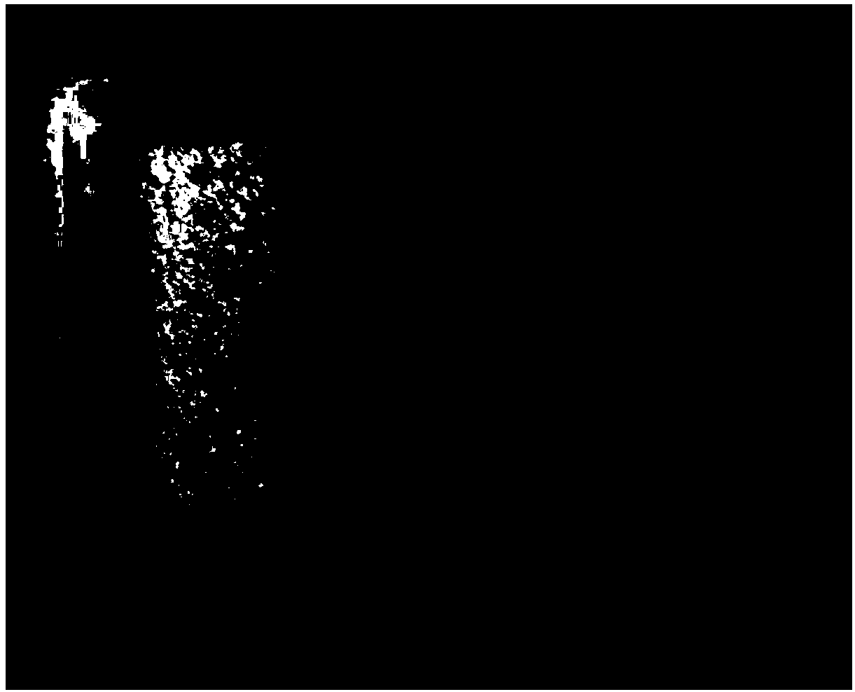 Method for preparing macro-quantity hexagonal boron nitride powder through chemical vapor deposition