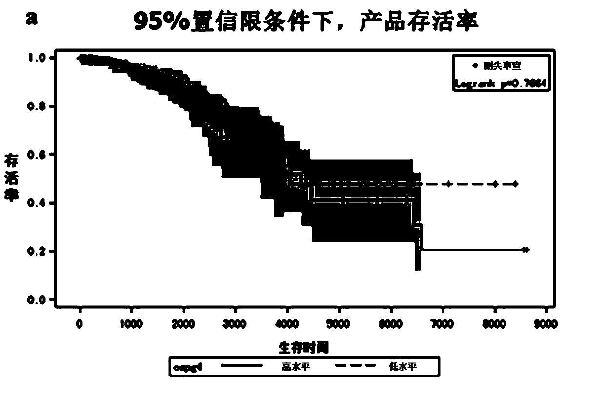 Application for using CSPG4 (Chondroitin Sulphate Proteoglycan 4) as molecular target in treatment of triple-negative breast cancer