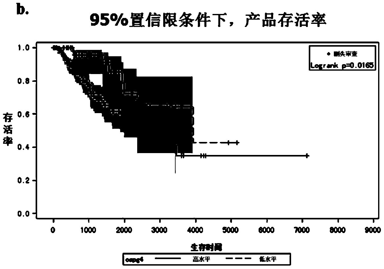 Application for using CSPG4 (Chondroitin Sulphate Proteoglycan 4) as molecular target in treatment of triple-negative breast cancer