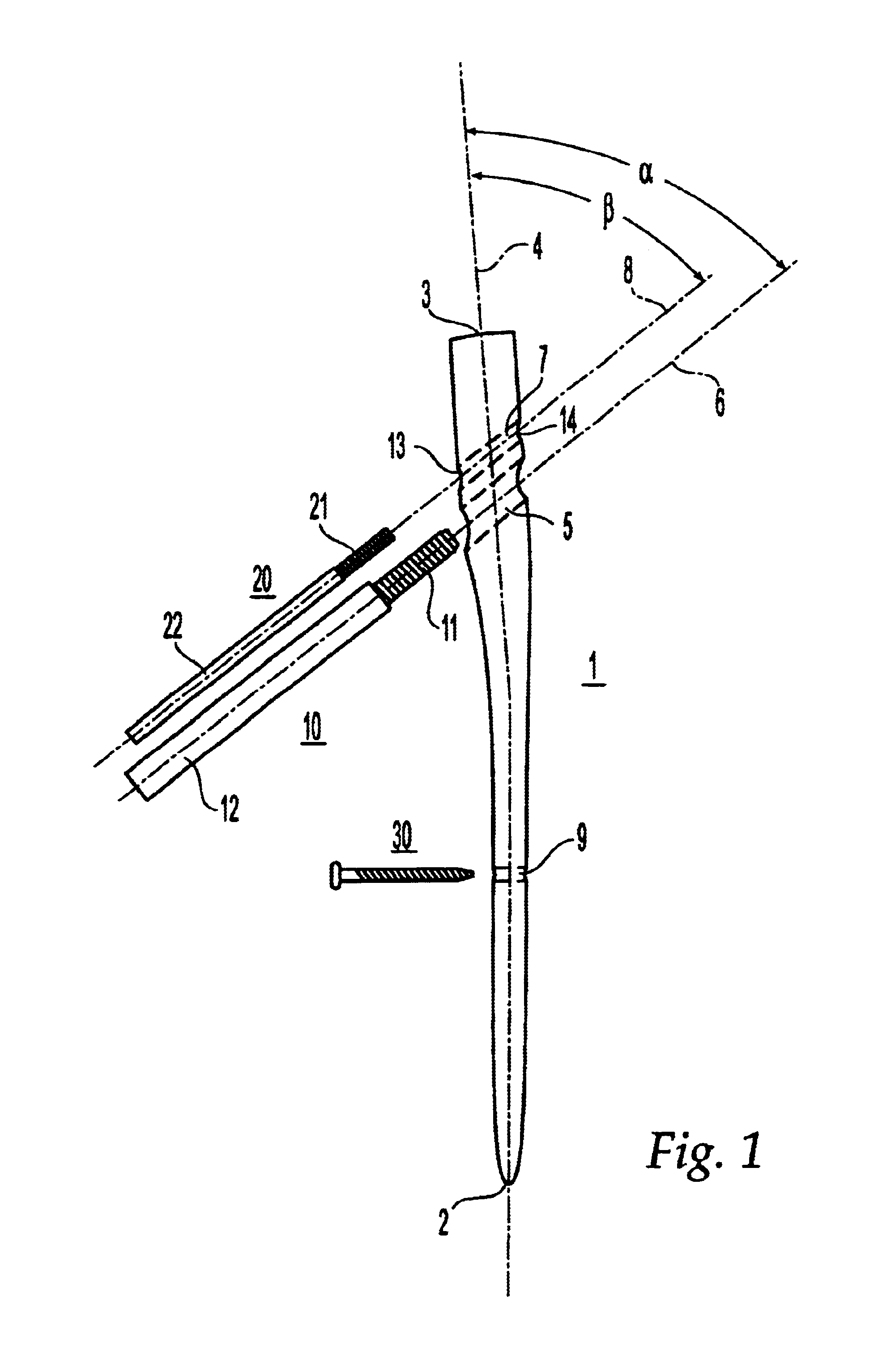 Intramedullary nail