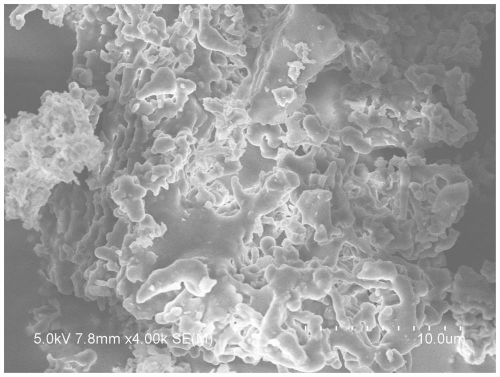 A kind of environment-friendly modified starch/feather protein graft copolymer composite slurry, preparation method and application thereof