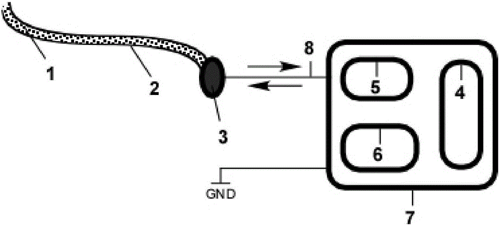 Implantation-attachment type electrical stimulation device