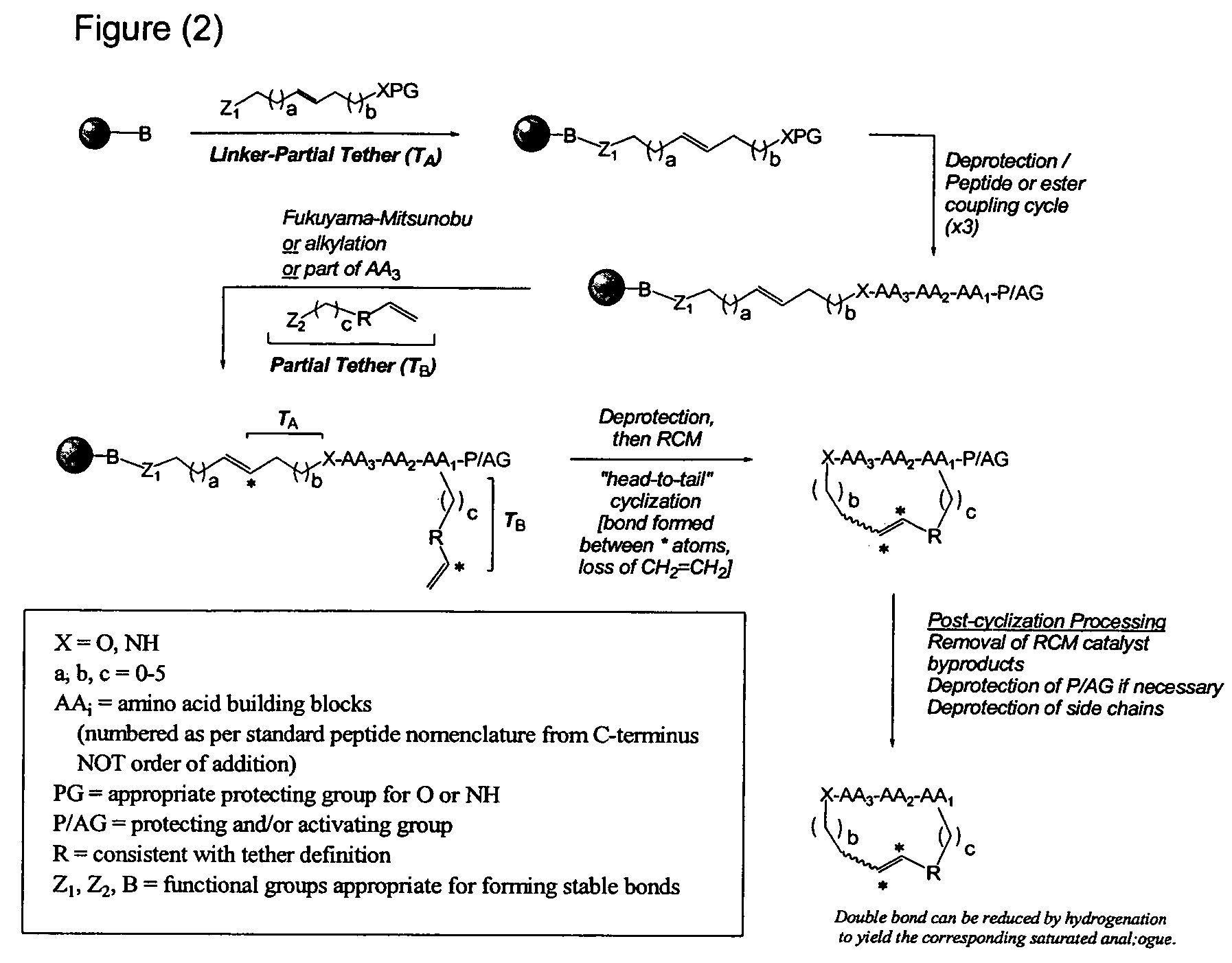 Conformationally-controlled biologically active macrocyclic small molecules as motilin antagonists or ghrelin agonists