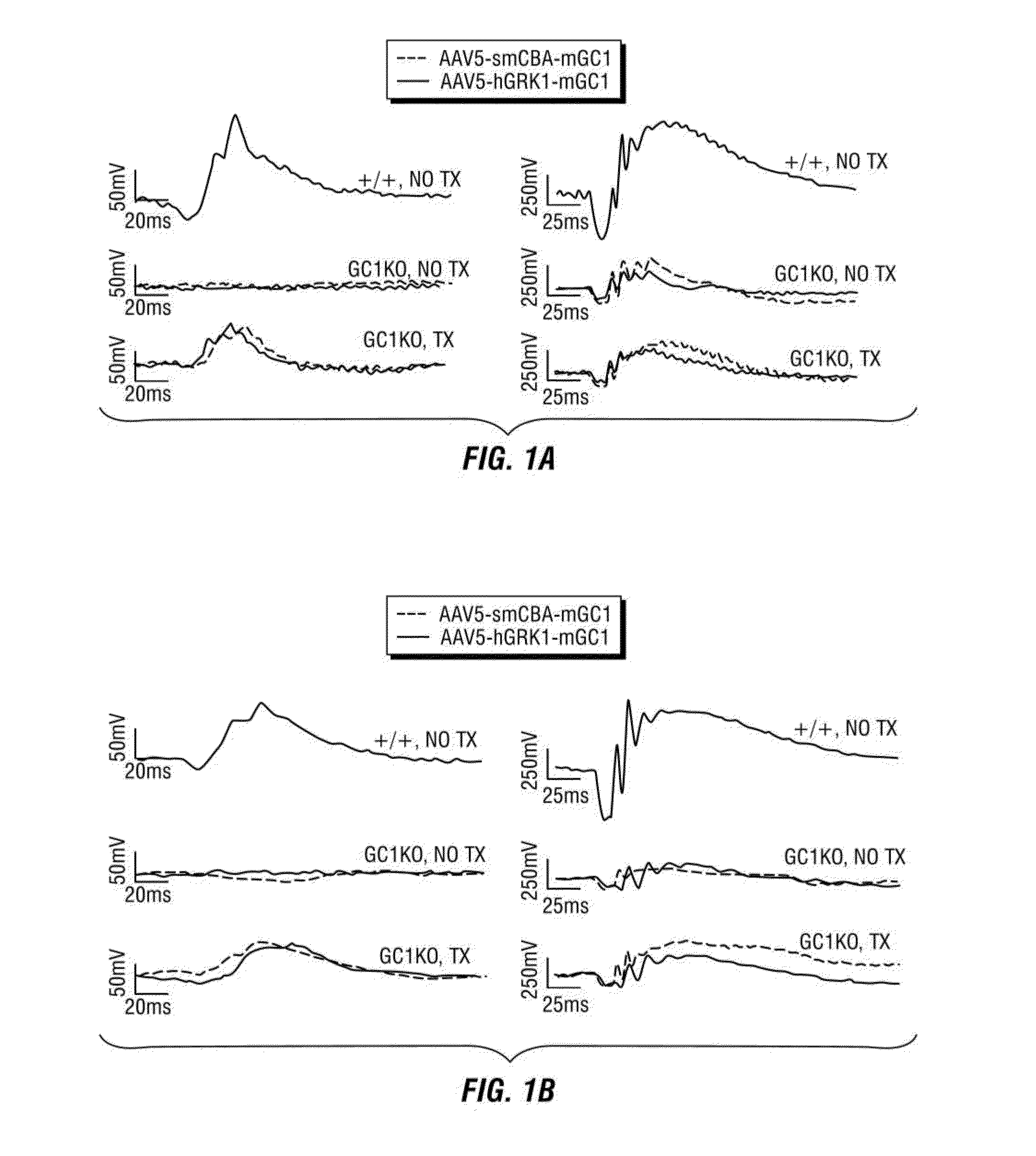 rAAV-Guanylate Cyclase Compositions and Methods for Treating Lebers Congenital Amaurosis-1 (LCA1)